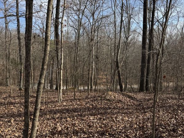 0 Midfield Dr, Big Sandy, TN 38221