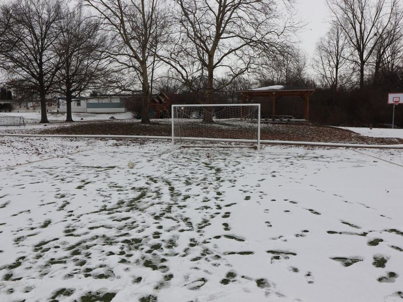 53 Locust Court, London, OH 43140 Photo 23