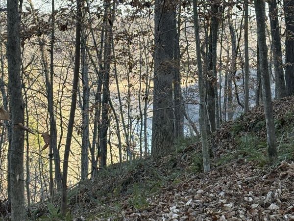 0 Mountain Lake Lane, Sparta, TN 38583