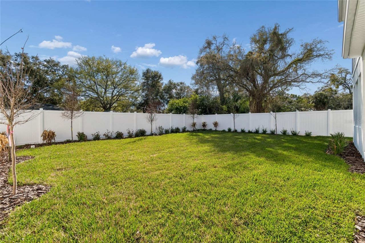 1104 W Ohio Avenue, Tampa, FL 33603 Photo