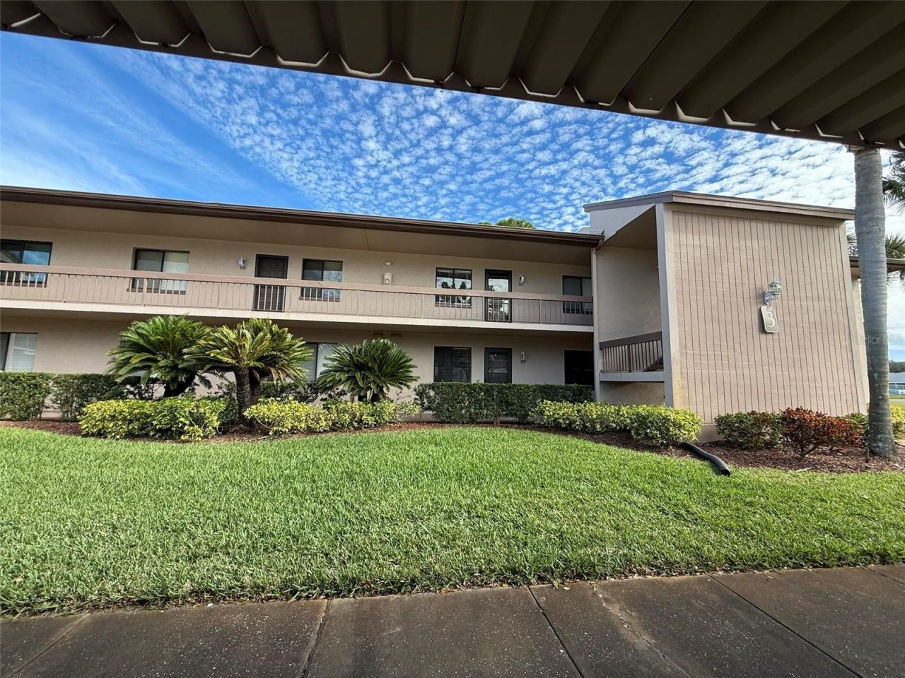 229 Mary Drive, Unit 45, Oldsmar, FL 34677 Main Photo
