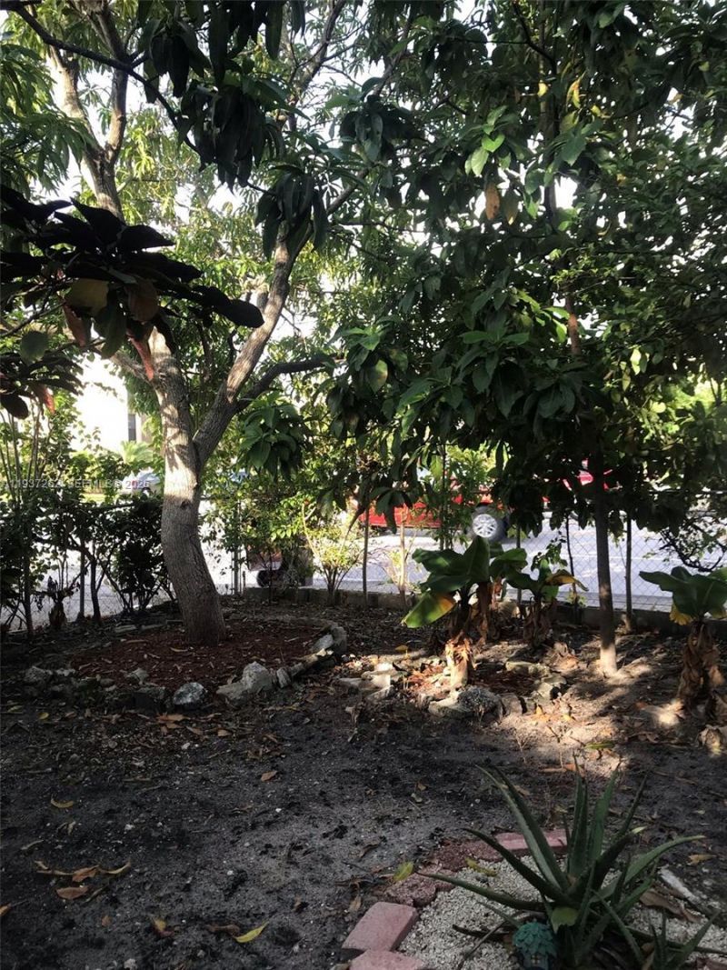 6530 W 2nd Ct, Unit 1, Hialeah, FL 33012 Photo