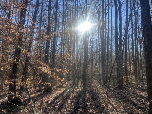 0 Excalibur Trail , Cedar Grove, TN 38321