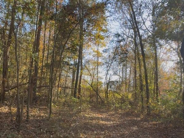 000 Cr 215, Abbeville, MS 38601