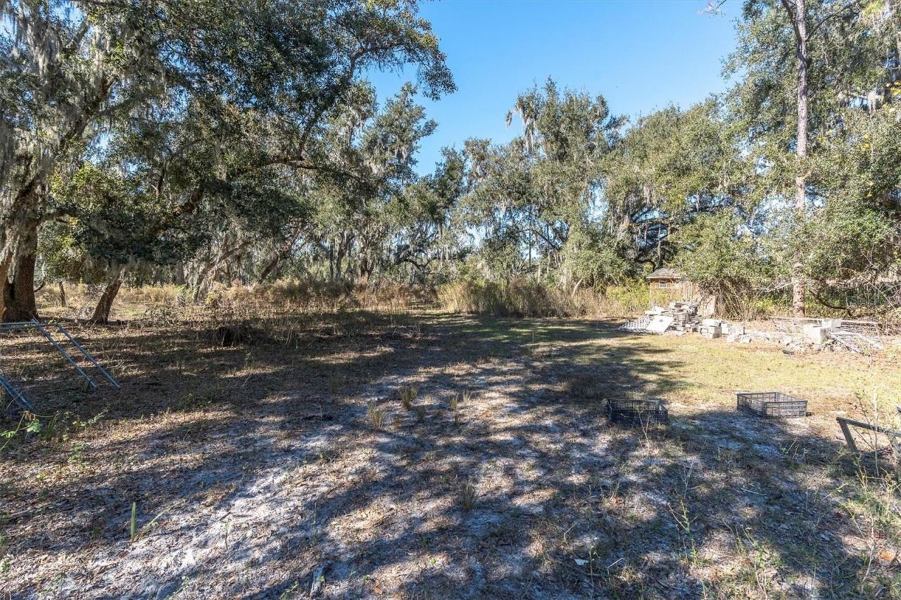 4103 Stanley Road, Plant City, FL 33565 Photo