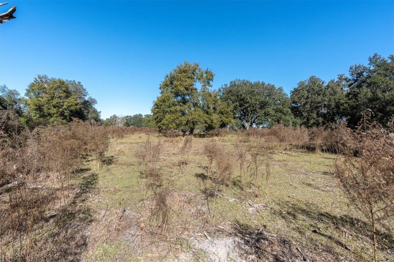 4103 Stanley Road, Plant City, FL 33565 Photo