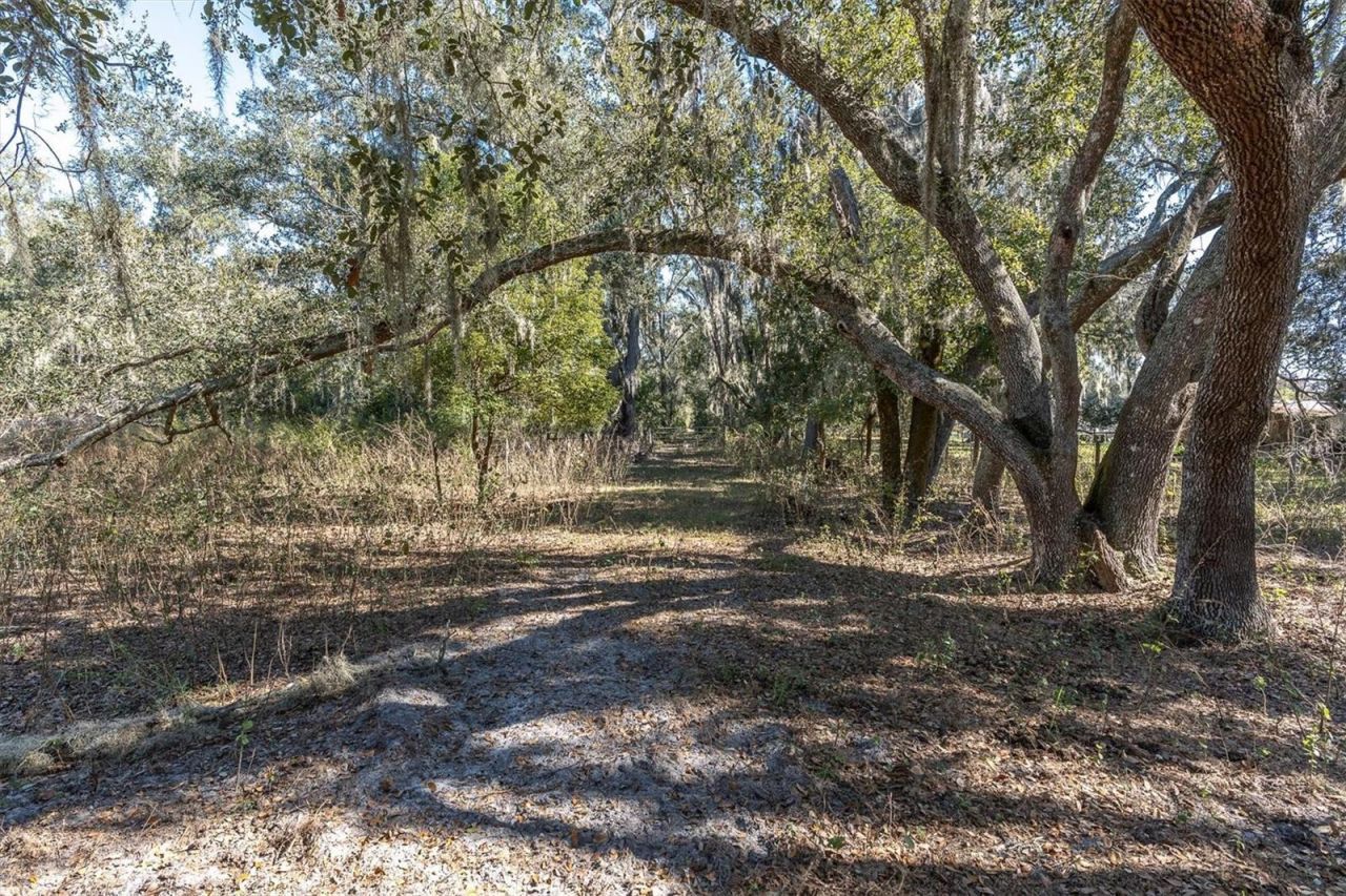 4103 Stanley Road, Plant City, FL 33565 Photo