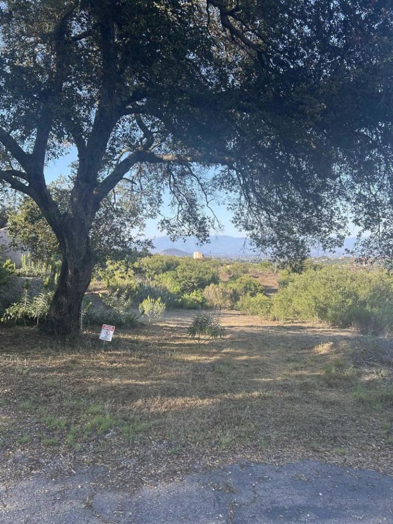 High Mountain Lane, Escondido, CA 92026 Main Photo