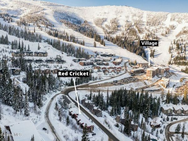 8754 Schweitzer Mountain Rd, Unit 20, Sandpoint, ID 83864