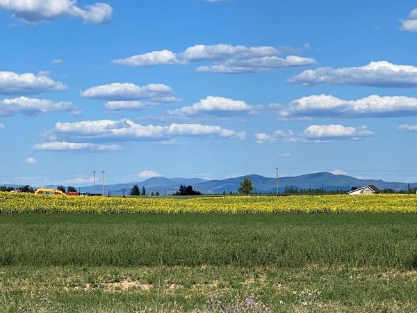 343XX N Spotted Rd, Deer Park, WA 99006