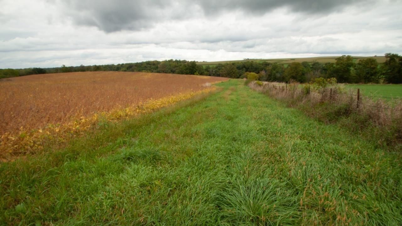 268 Prairie Drive Drive, Waukon, IA 52172 Main Photo