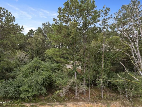 Parcel A Highway 42, Richton, MS 39476