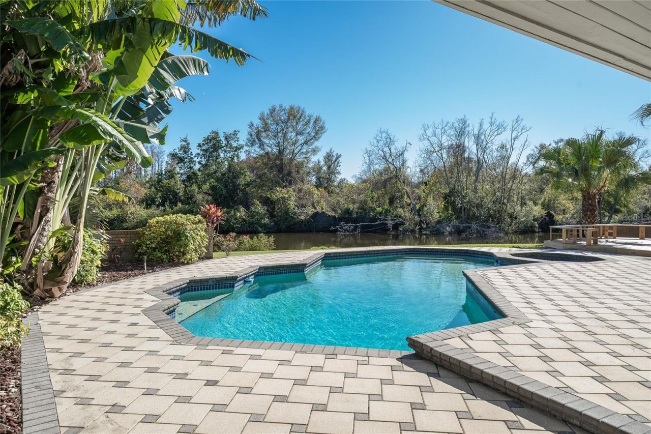 4302 Carrollwood Village Drive, Tampa, FL 33618 Photo