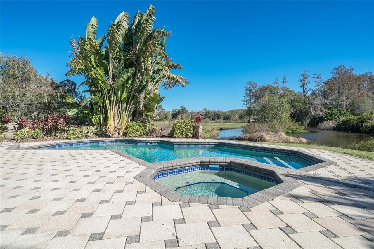 4302 Carrollwood Village Drive, Tampa, FL 33618 Photo