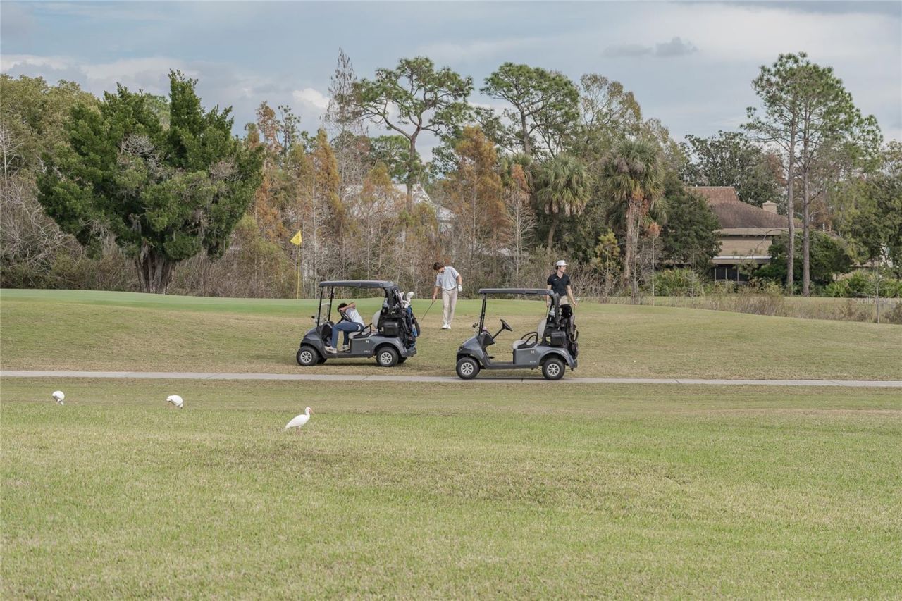 4302 Carrollwood Village Drive, Tampa, FL 33618 Photo