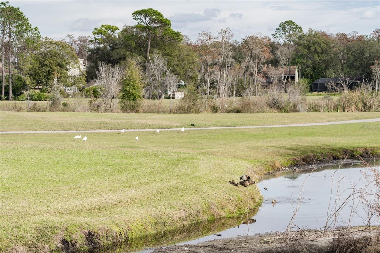 4302 Carrollwood Village Drive, Tampa, FL 33618 Photo