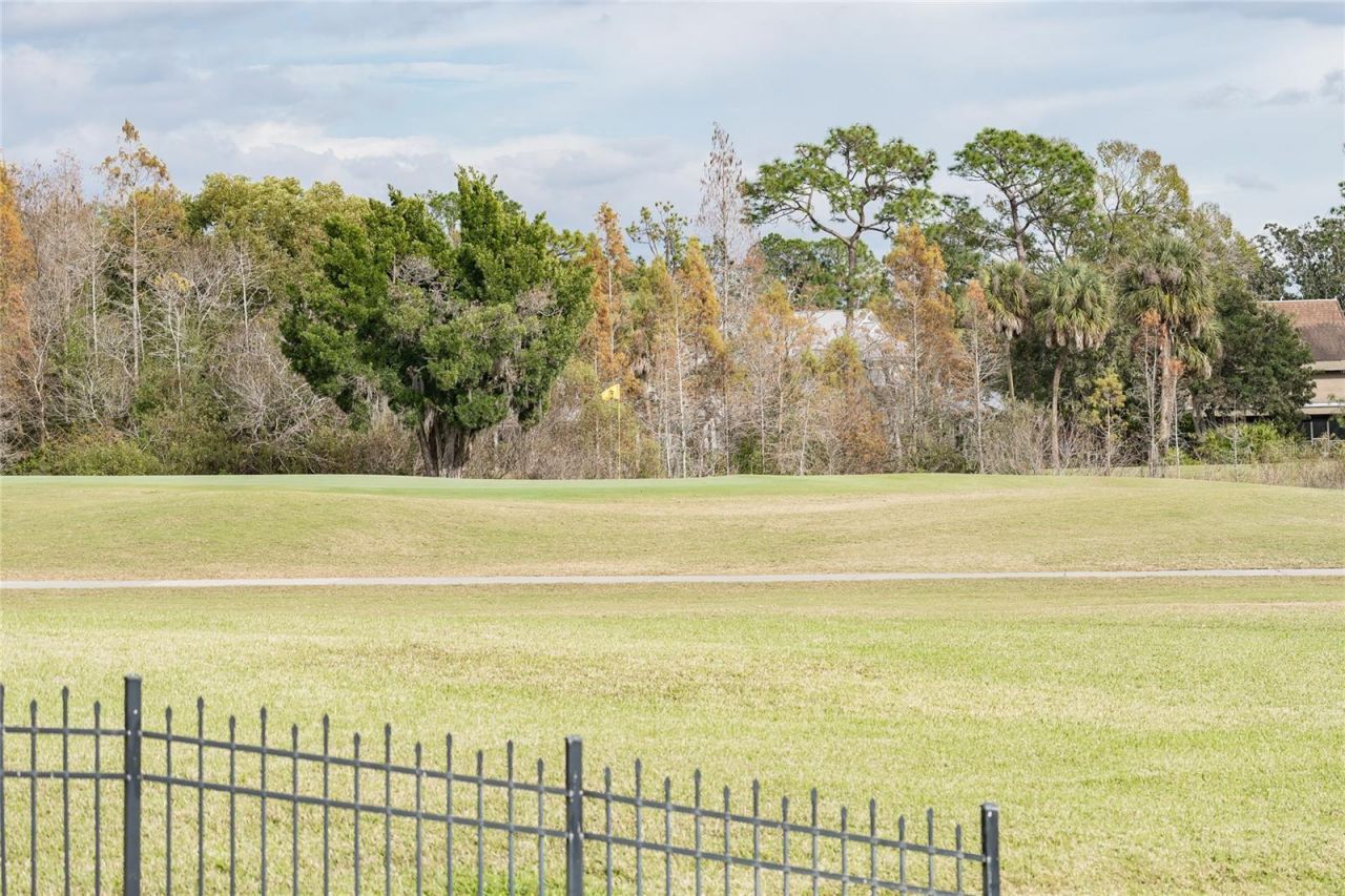 4302 Carrollwood Village Drive, Tampa, FL 33618 Photo