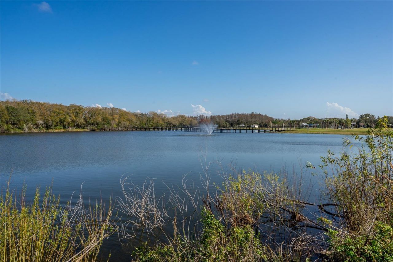 4302 Carrollwood Village Drive, Tampa, FL 33618 Photo