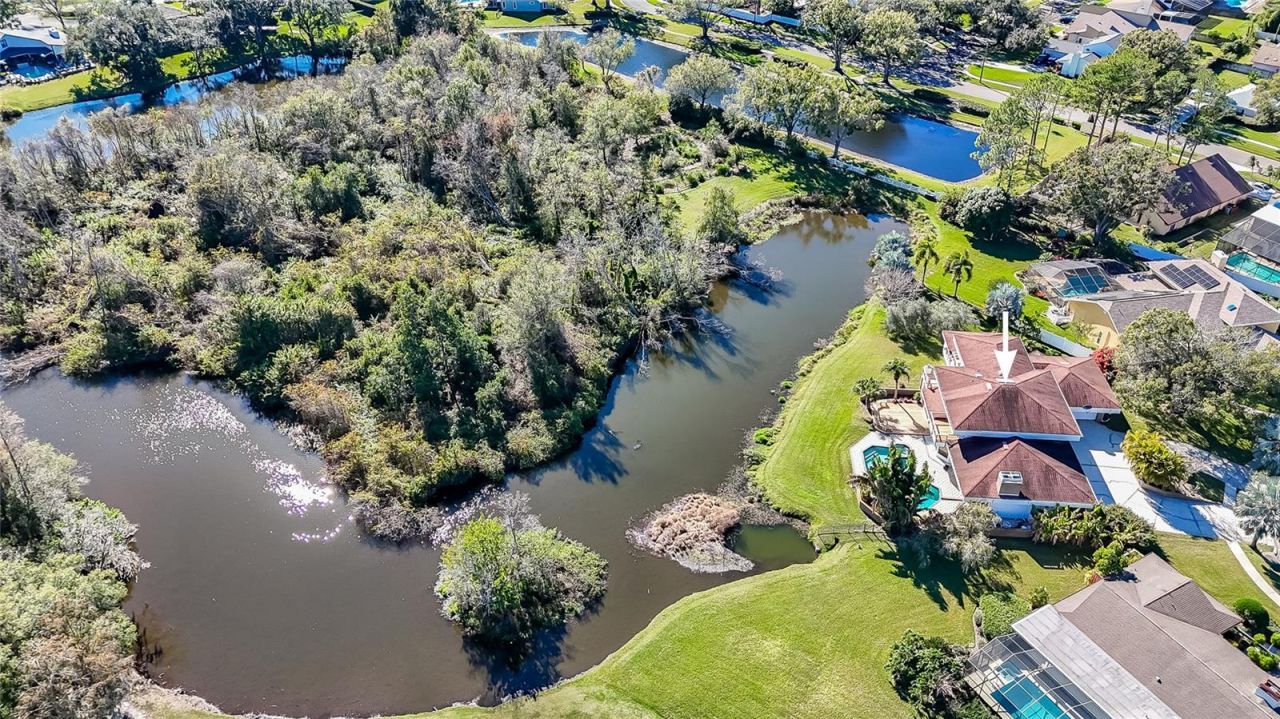 4302 Carrollwood Village Drive, Tampa, FL 33618 Photo