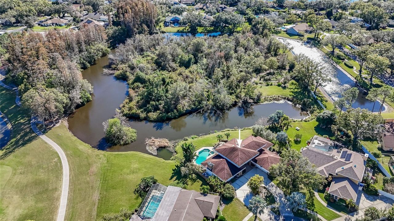 4302 Carrollwood Village Drive, Tampa, FL 33618 Photo