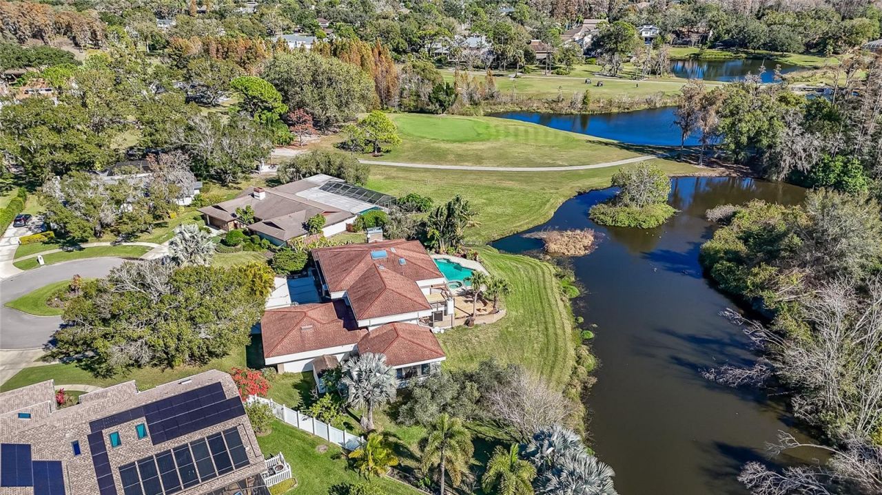 4302 Carrollwood Village Drive, Tampa, FL 33618 Photo