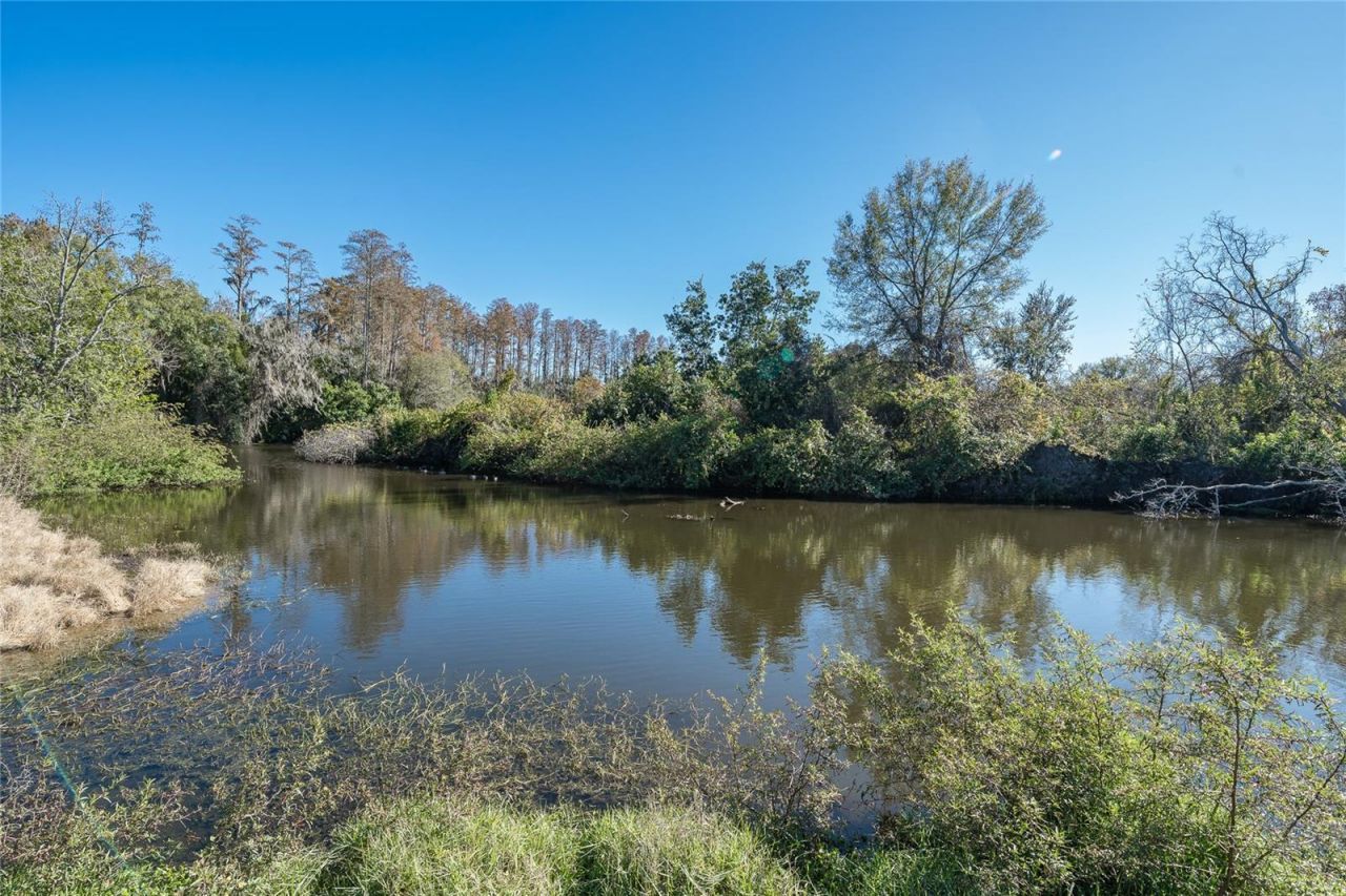 4302 Carrollwood Village Drive, Tampa, FL 33618 Photo