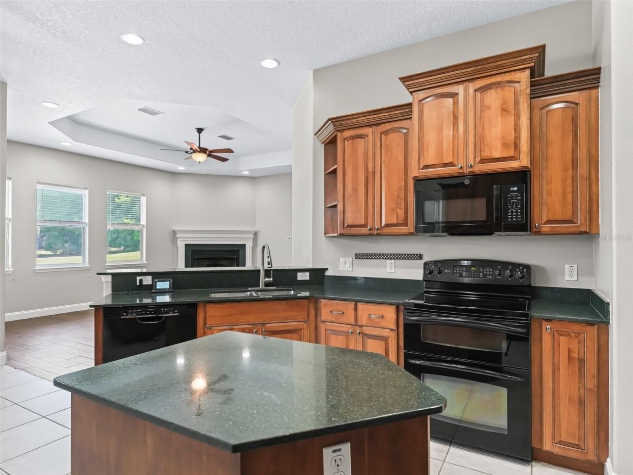 13945 SE 156th Lane, Weirsdale, FL 32195 Photo