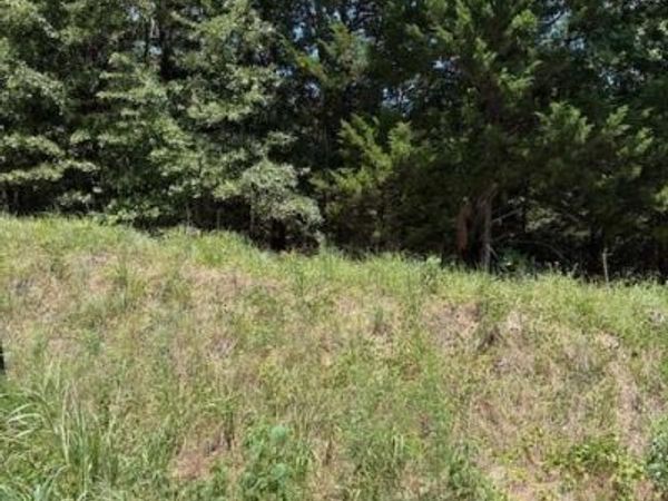 N TBD Chickasaw Street, Colbert, OK 74733