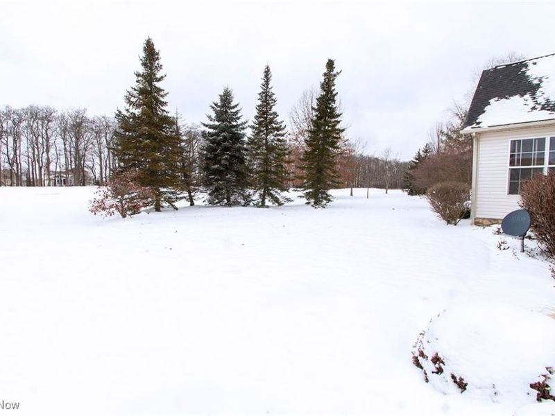 6576 Torington Drive, Medina, OH 44256 Photo 41