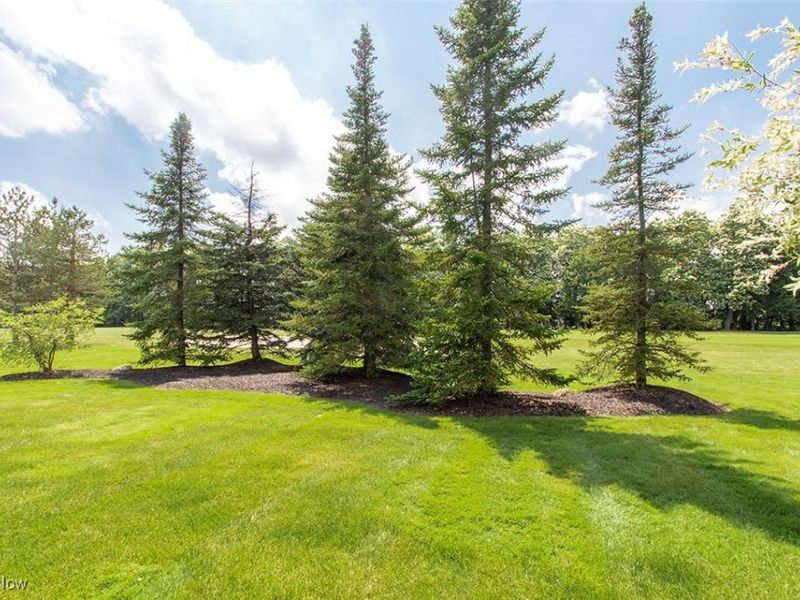 6576 Torington Drive, Medina, OH 44256 Photo 45