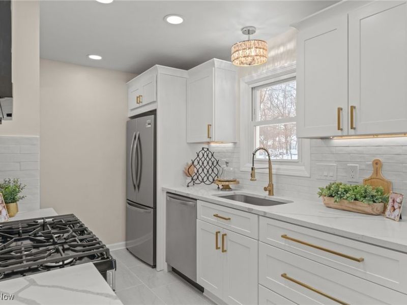 1114 W Miner Road, Mayfield Heights, OH 44124 Photo 2