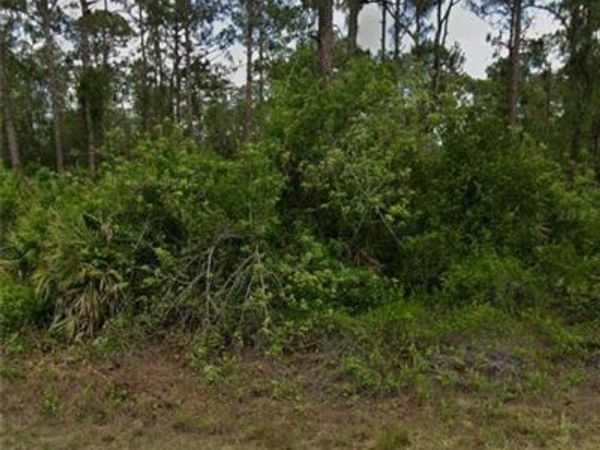 2114 Hamilton AVE , ALVA, FL 33920