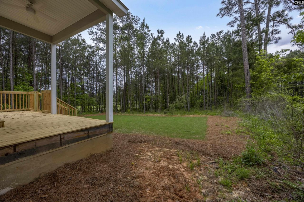 193 Peppermint Lane  Photo 11