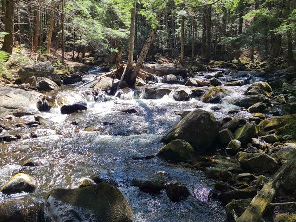 11 Clay Brook Drive, Plymouth, NH 03264