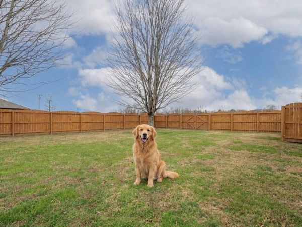 110 Kitty Meyer Ln, Loretto, TN 38469