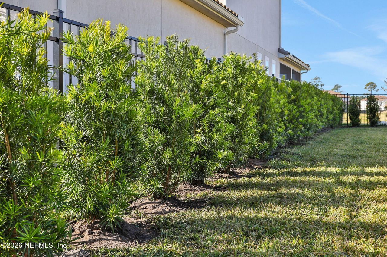 2812 Cassia Lane, Jacksonville, FL 32246 Photo