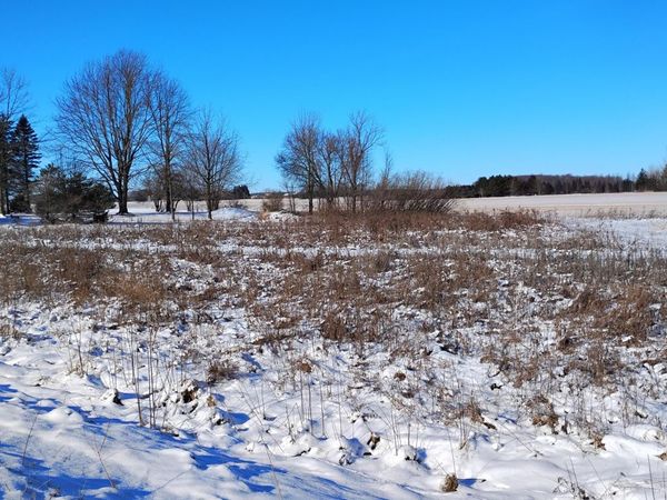 Lt3 Carstens Lake Rd, Newton, WI 54220