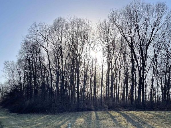5080 (Lot 8) S Bridle Path Trail, Bloomington, IN 47403