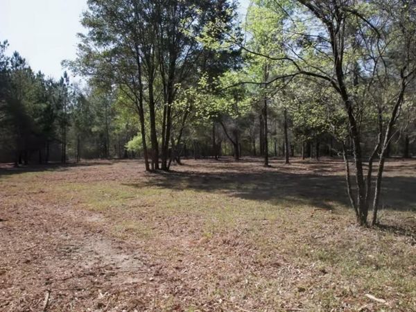 XXX Lawhon Mill Road, Crawfordville, FL 32327