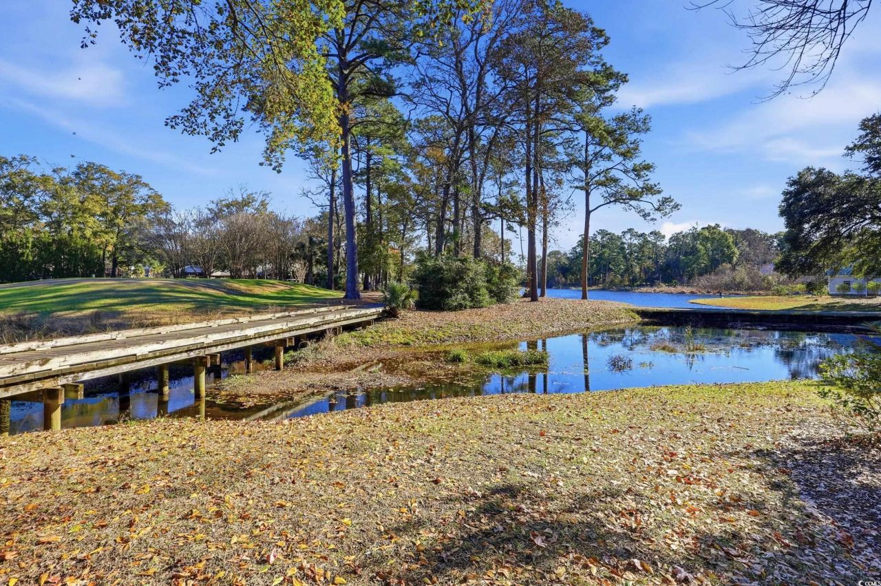 379 Golden Bear Dr. Photo 35