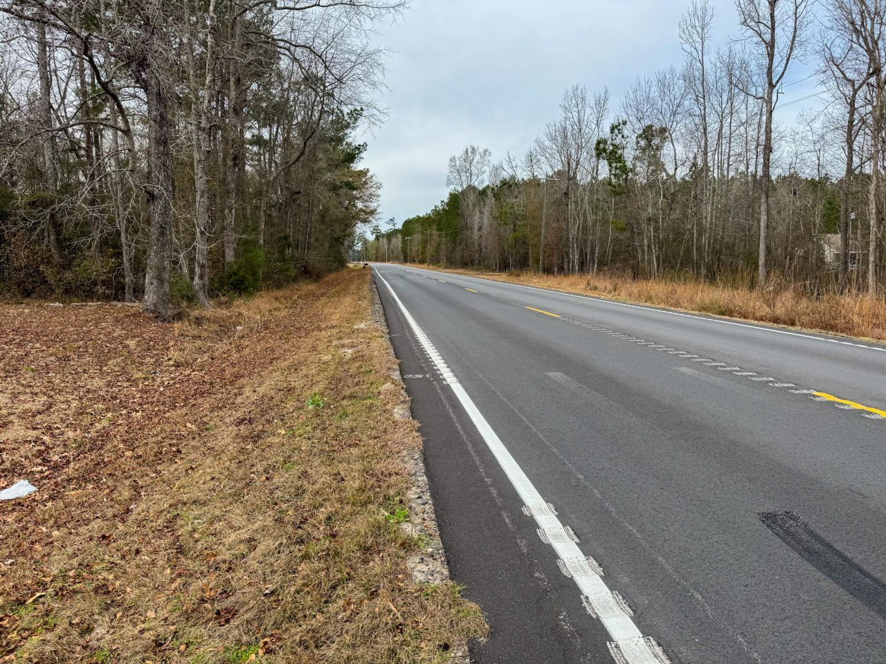 3651 Edisto River Road Photo 8