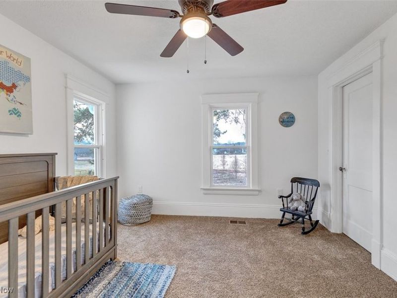 6517 Chippewa Road, Chippewa Lake, OH 44215 Photo 36