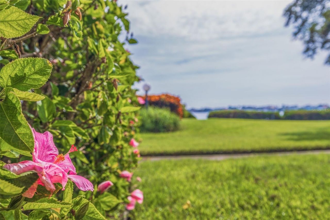 6104 Palma Del Mar Boulevard S, Unit 404, Saint Petersburg, FL 33715 Photo