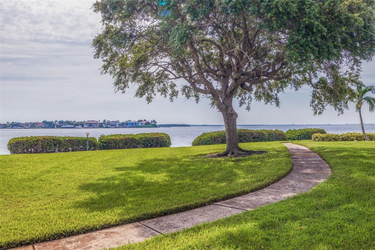 6104 Palma Del Mar Boulevard S, Unit 404, Saint Petersburg, FL 33715 Photo