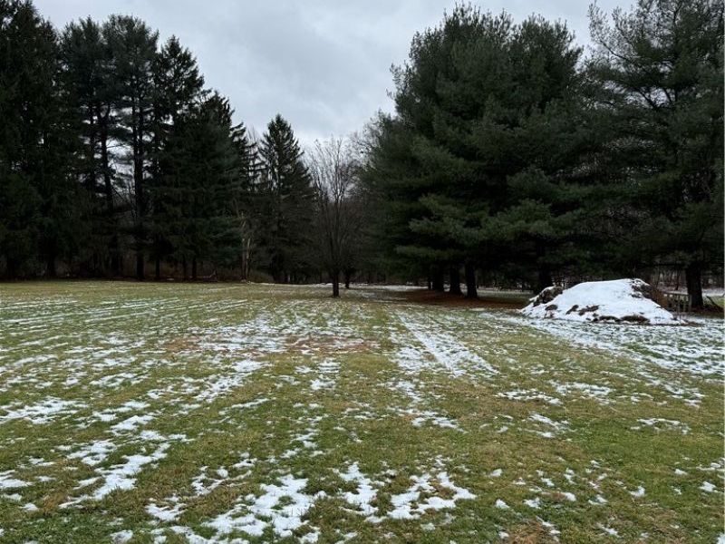 3065 Dover Road, Wooster, OH 44691 Photo 15