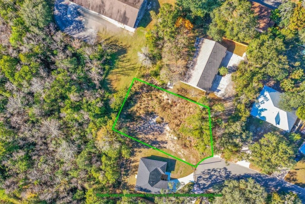 3755 Bluff Ln, Saint Augustine, FL 32086 Main Photo