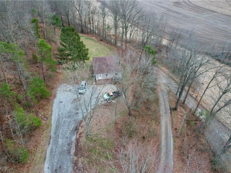 23894 Sandy Creek Road, Minerva, OH 44657 Photo 29