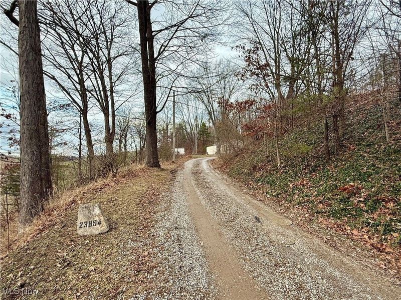 23894 Sandy Creek Road, Minerva, OH 44657 Photo 3