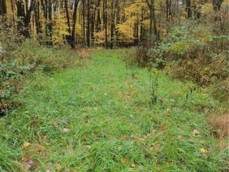 Schaen Drive, Andover, OH 44003 Photo 1