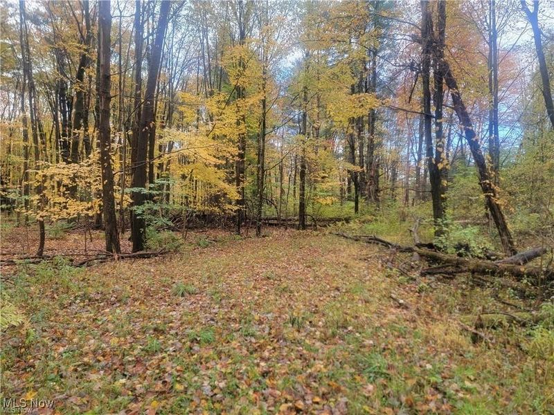 Schaen Drive, Andover, OH 44003 Photo 2